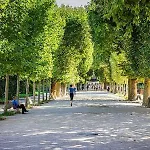 103 - Studio Jardins De Plantes Paris 5